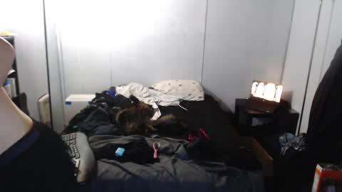 Snapshot of anilyseardor chatting on March 4, 8:02 am Ani online show from March 4, 8:02 am