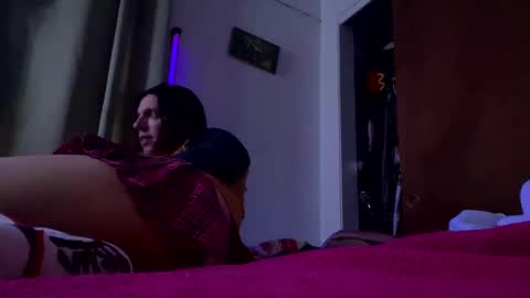 bathingcat online show from January 17, 3:11 pm