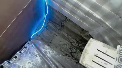 beatrice_luna online show from December 5, 1:43 am