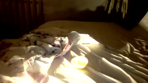 Shemale Anna online show from September 17, 5:23 am