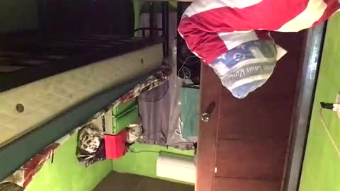 Crystal online show from February 20, 2:29 am