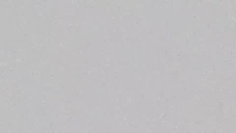 Carin online show from February 27, 5:34 am