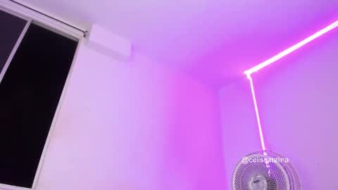 celiscatalina instagram online show from October 4, 4:46 am