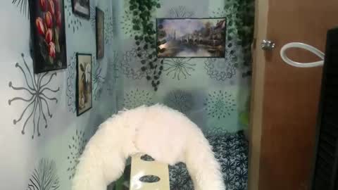 Snapshot of chescahotxxxl chatting on December 27, 6:35 am chescahotxxxl online show from December 27, 6:35 am