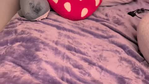 Chloe Hollis online show from November 23, 8:22 pm