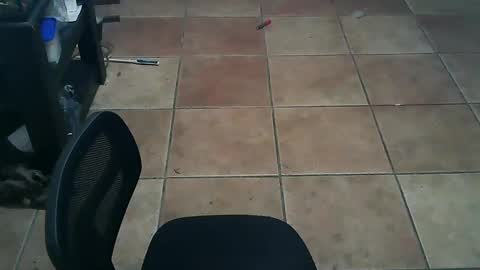 Snapshot of crossdressernola504 chatting on October 14, 7:36 pm crossdressernola504 online show from October 14, 7:36 pm