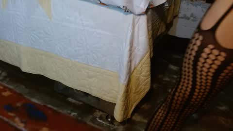 dreamreal online show from November 25, 11:01 am