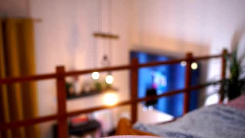 Sunflower  online show from November 19, 5:24 pm