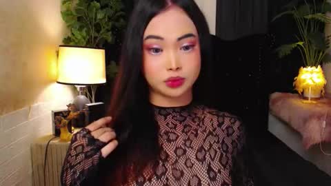 haily online show from November 11, 2:35 am