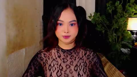 haily online show from November 16, 2:32 am