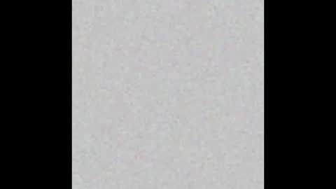 HoneyVelourTS online show from February 26, 6:02 pm