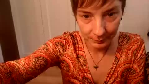 Ifk Donkeys online show from August 3, 9:48 am