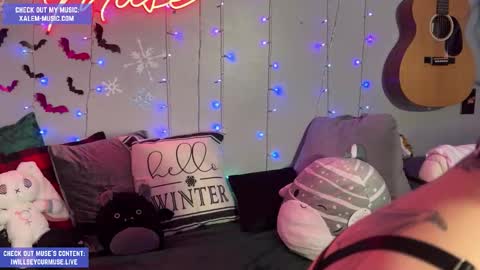 Muse hethey online show from December 5, 12:26 am