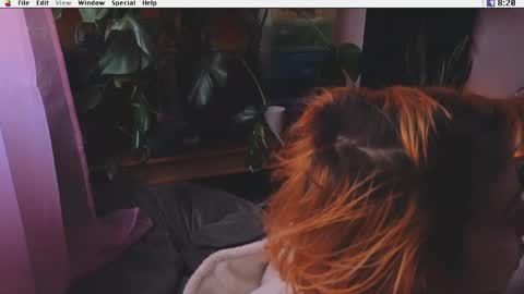 Krypto online show from December 29, 2:42 pm