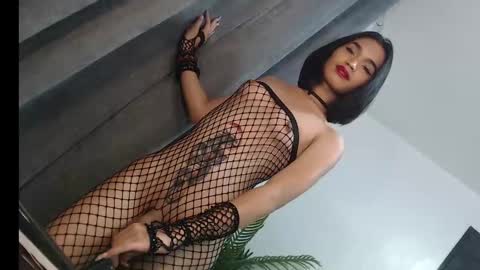 Trisha18 online show from February 10, 9:14 am