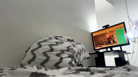   Luisa Fernanda  online show from December 16, 4:06 am