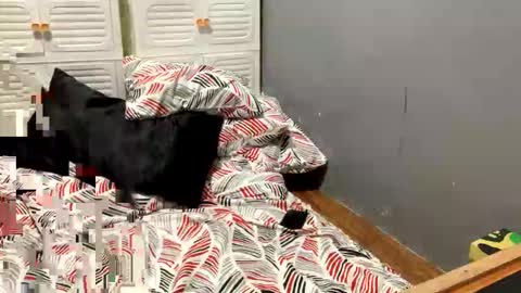 melahnie051002 online show from November 15, 1:03 am