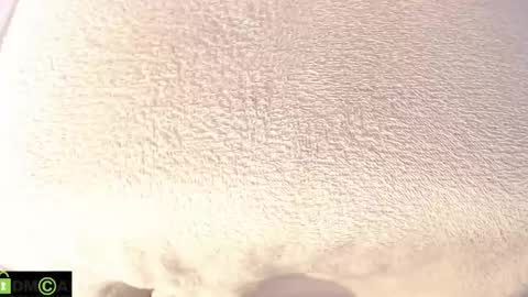 Mikell Williams online show from February 19, 7:27 pm