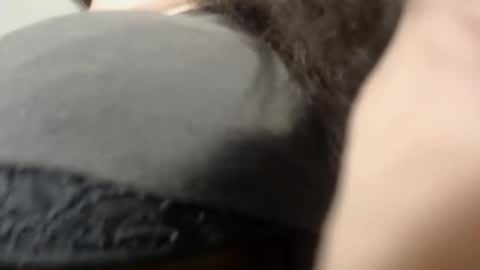 ALICE MADANE online show from December 10, 7:32 pm