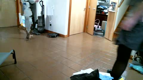 Pantyhoselover online show from January 3, 9:26 pm