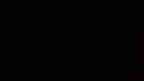 pearlatin online show from January 22, 2:48 am