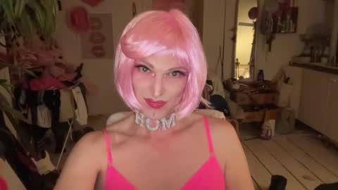 pinkfag online show from January 13, 6:49 pm