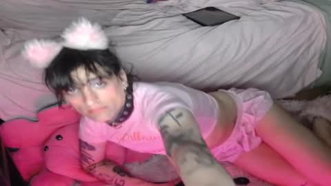 Lolli online show from February 28, 5:15 am