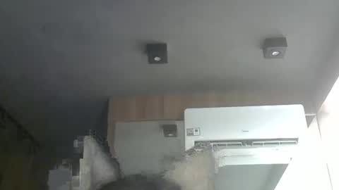 skinnykittencam online show from November 15, 7:23 pm