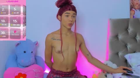 stassiebell online show from February 11, 6:30 am