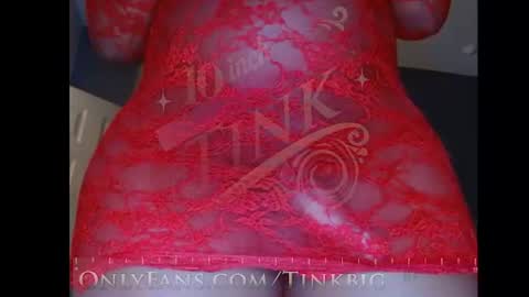 Snapshot of teninchtink chatting on October 7, 12:17 pm Tinkerbell online show from October 7, 12:17 pm