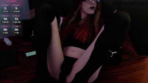 thefoxieprince online show from November 25, 5:20 am