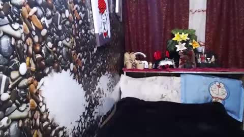 shamara online show from January 11, 11:46 pm