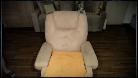 Clementine online show from November 29, 2:30 pm