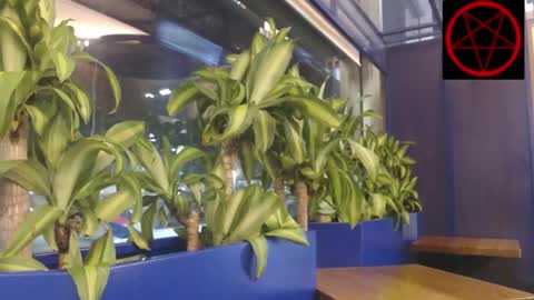 Snapshot of victoriavampire666 chatting on January 7, 7:11 am Victoria Vampire online show from January 7, 7:11 am