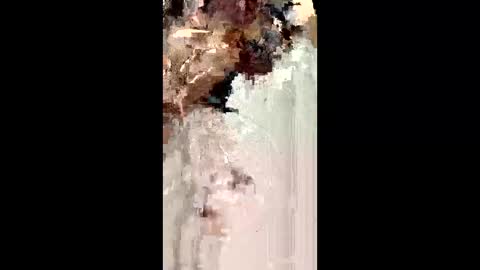 Xoxolexxyyyxoxo online show from March 6, 12:54 pm