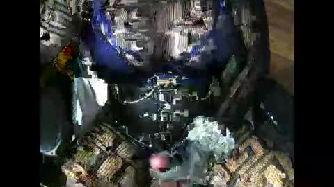 Ana online show from November 11, 11:28 pm