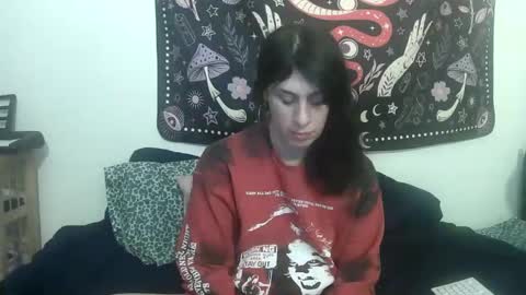 Zelda online show from January 13, 3:34 am