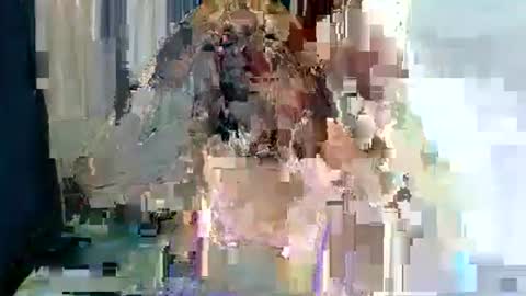 zavier online show from April 6, 3:27 am