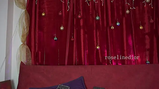 roselinedior online show from December 21, 5:08 pm