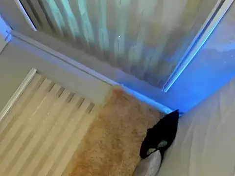 lovelychanel69xx online show from September 9, 11:36 pm