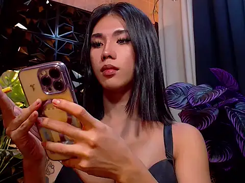 TRANSPORNIDOL online show from November 26, 4:42 pm