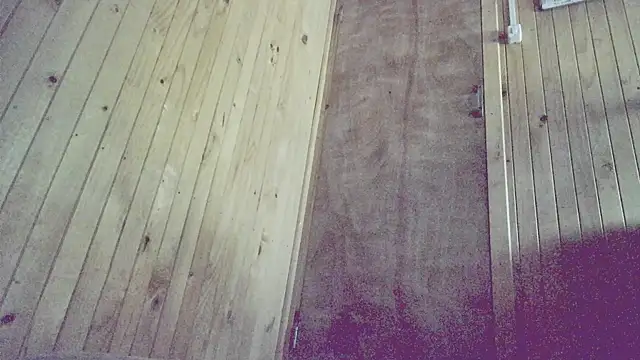 PhonedPave online show from December 19, 7:02 am