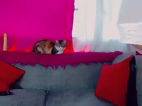 DeboraGill online show from March 10, 8:23 pm