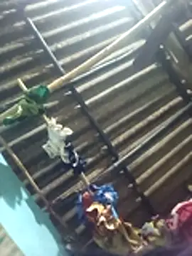 Blaxmi online show from January 19, 12:03 pm