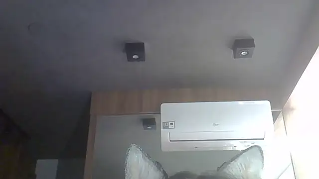 Skinny-Kitten online show from December 14, 2:50 am