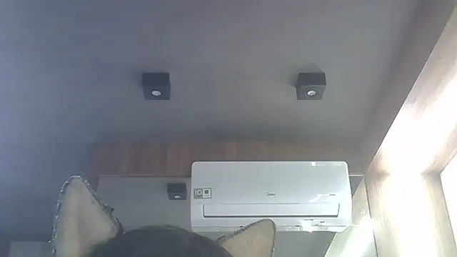 Skinny-Kitten online show from January 16, 4:10 am