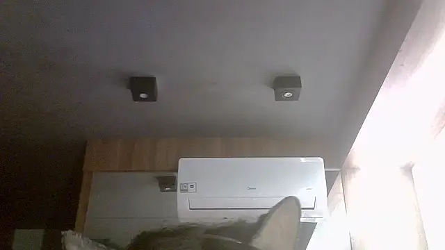 Skinny-Kitten online show from June 3, 2:02 am